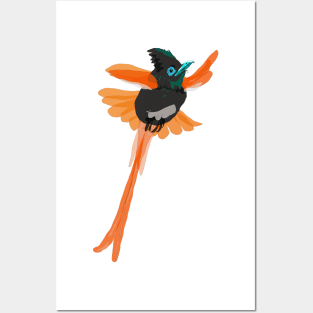 Paradise Flycatcher Posters and Art